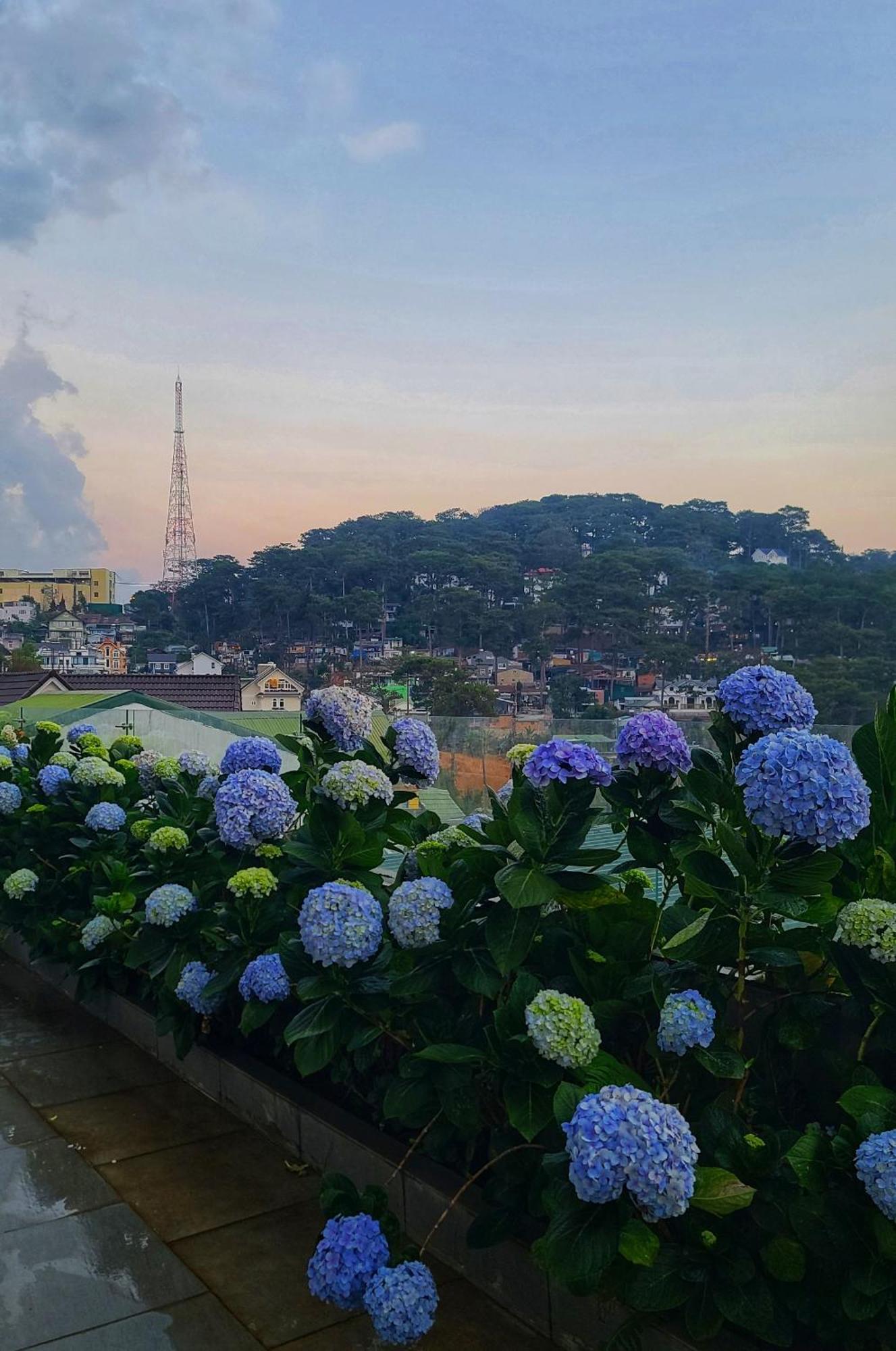 Hotel The Luxe Dalat Exterior foto